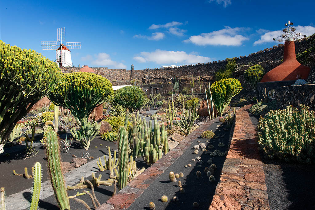 Jardín de cactus en Lanzarote