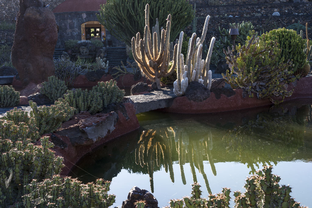 Jardín de cactus en Lanzarote