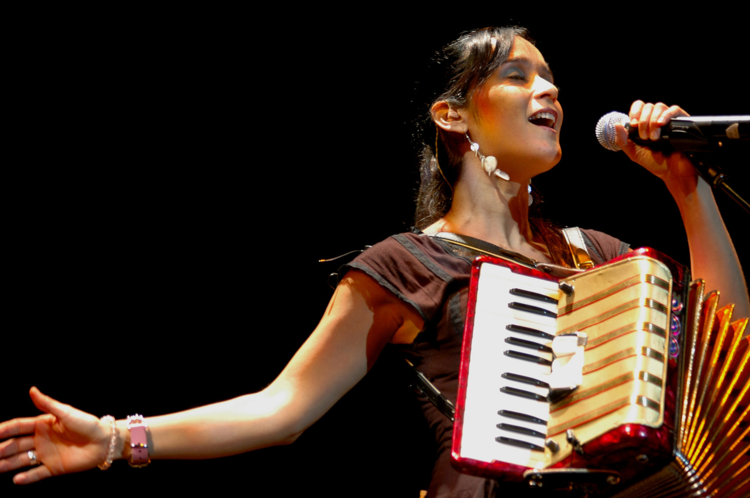 Julieta Venegas