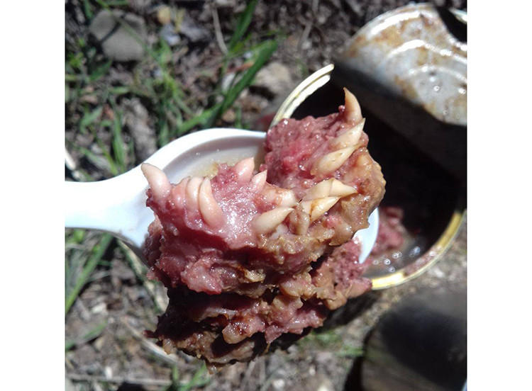 Dientes entre la carne de ración de comida