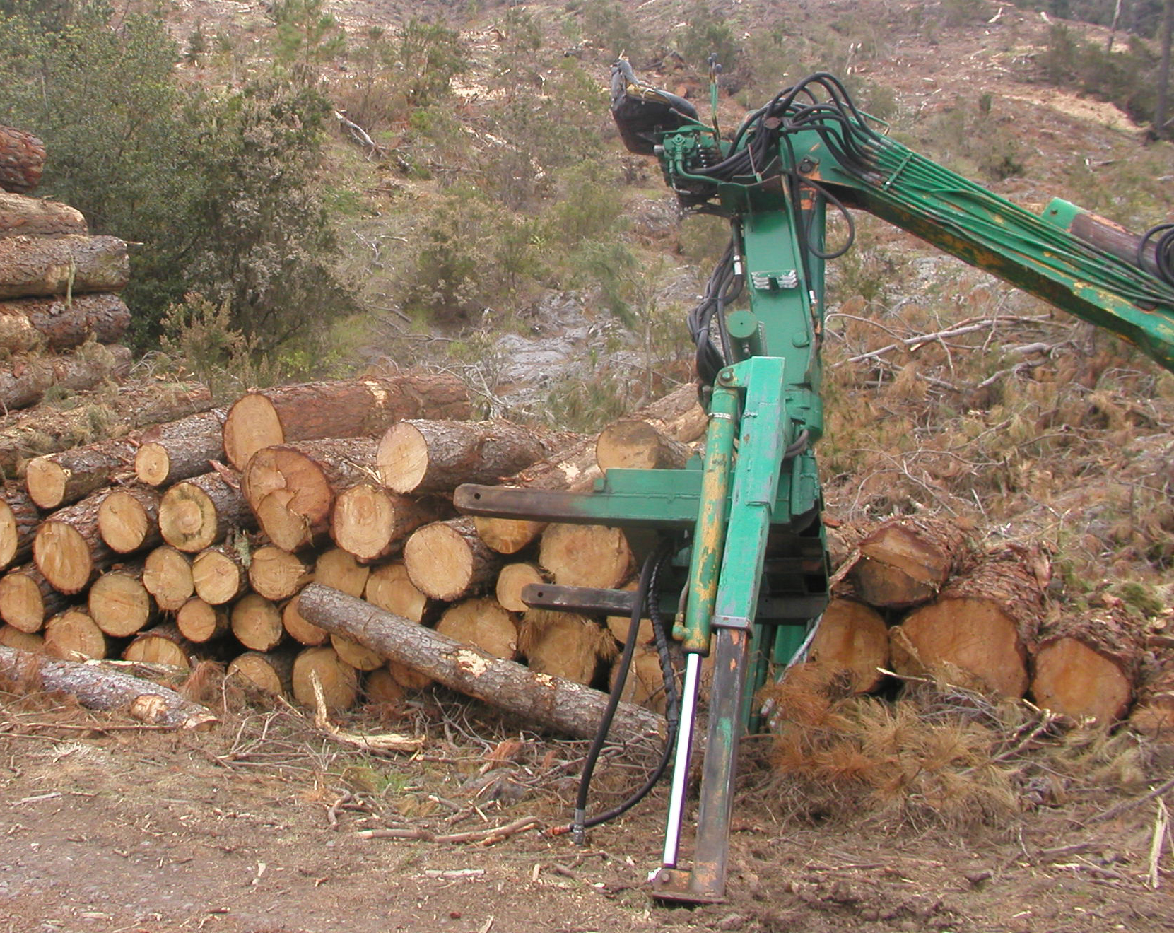 Troncos de leña acumulados