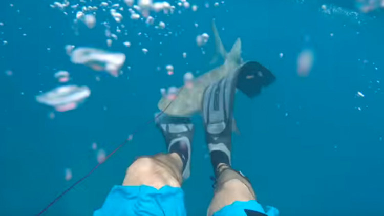 Un tiburón atacando a una persona