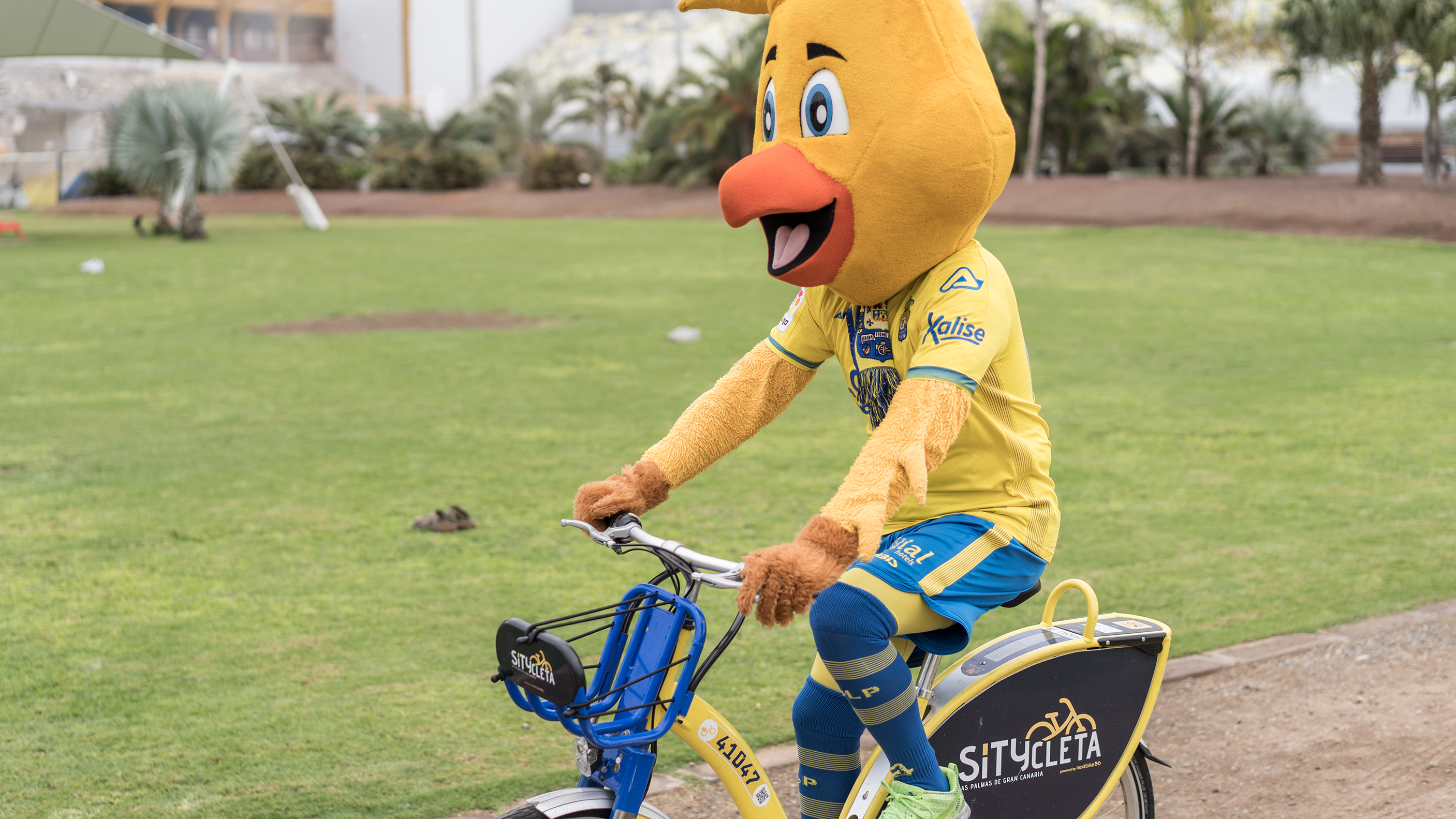 La Mascota Pío Pío en Sitycleta