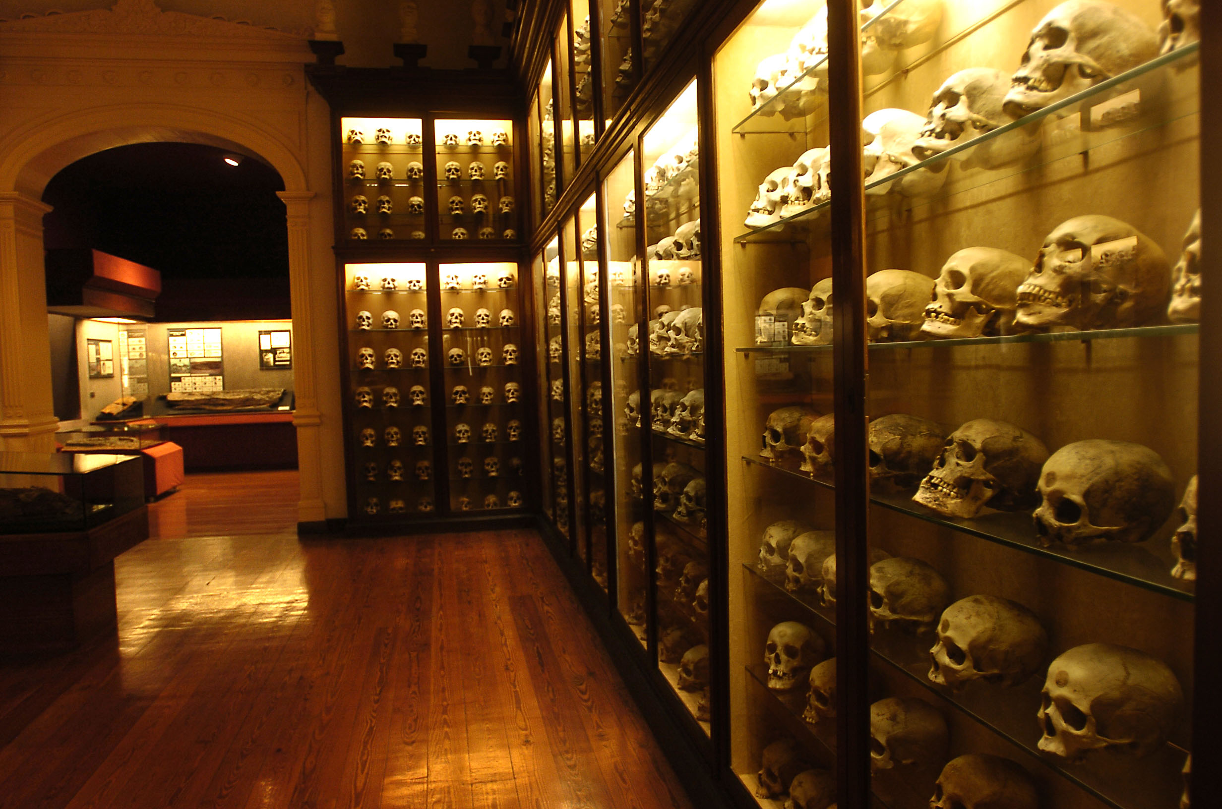 Sala del Museo Canario