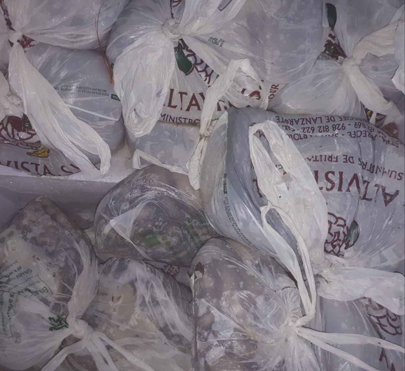 Pulpos incautados en Arrecife Pulpos incautados en Arrecife