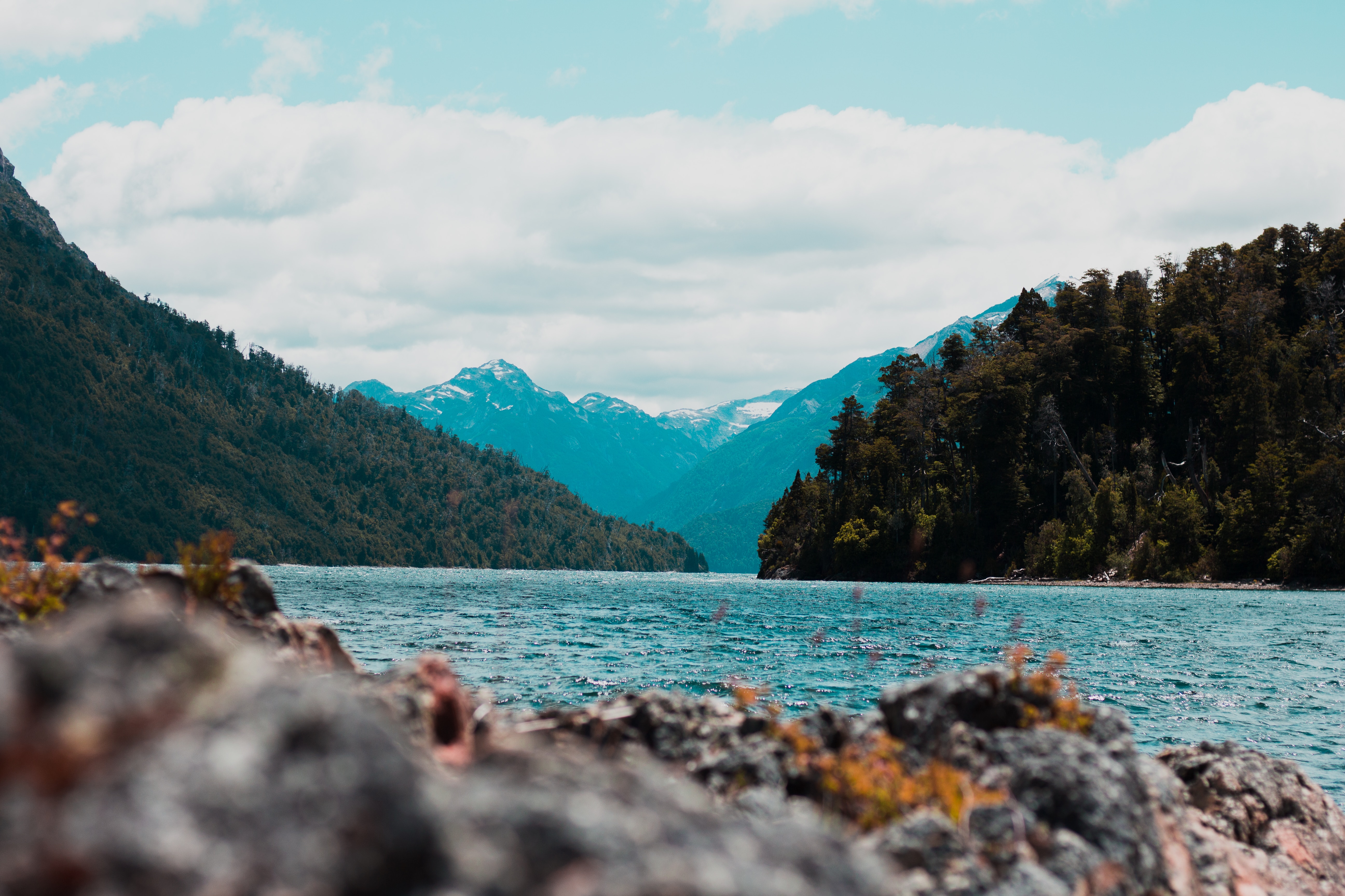 / Geronimo Giqueaux on Unsplash
