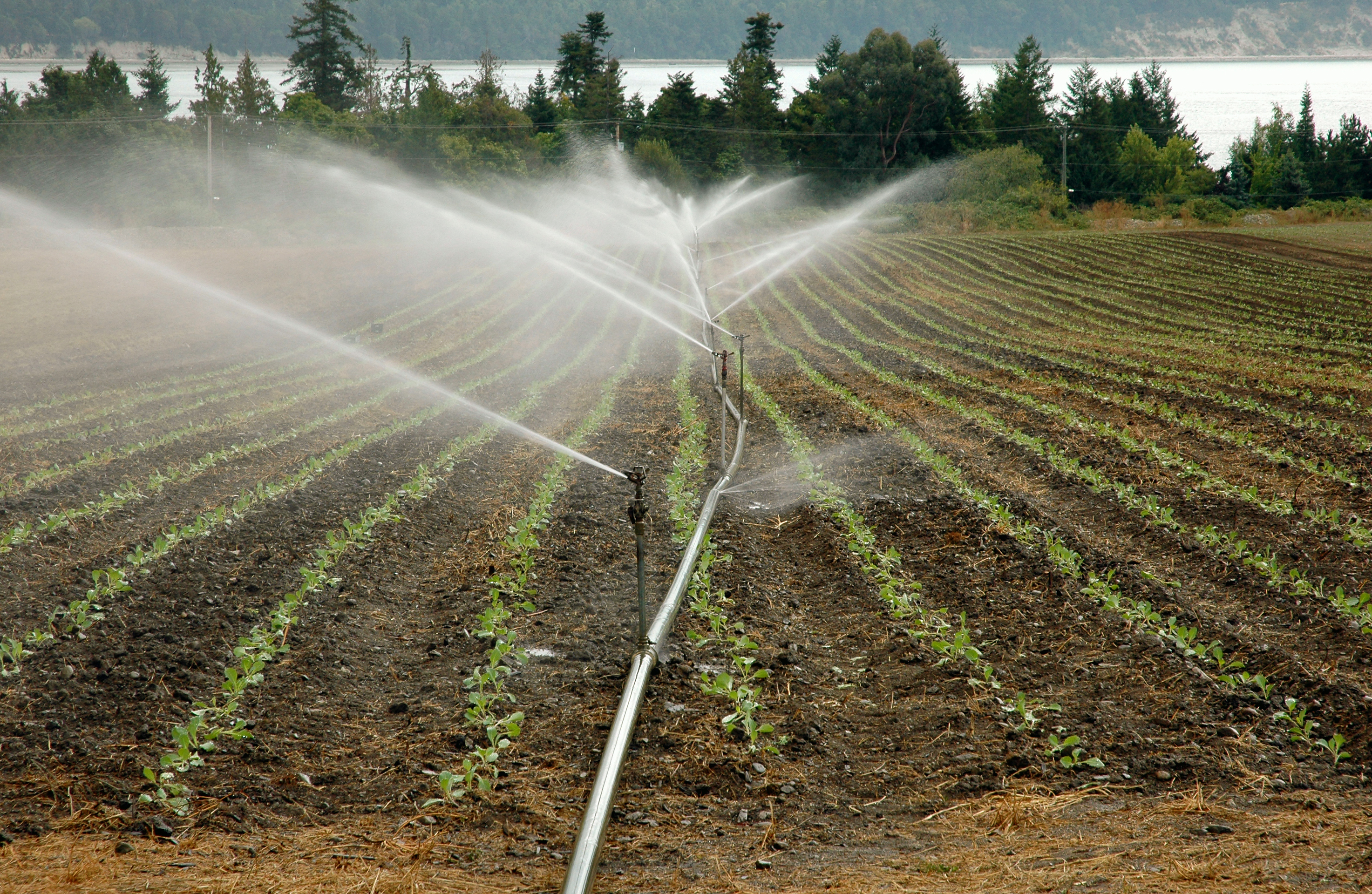 Agua de riego agrícola