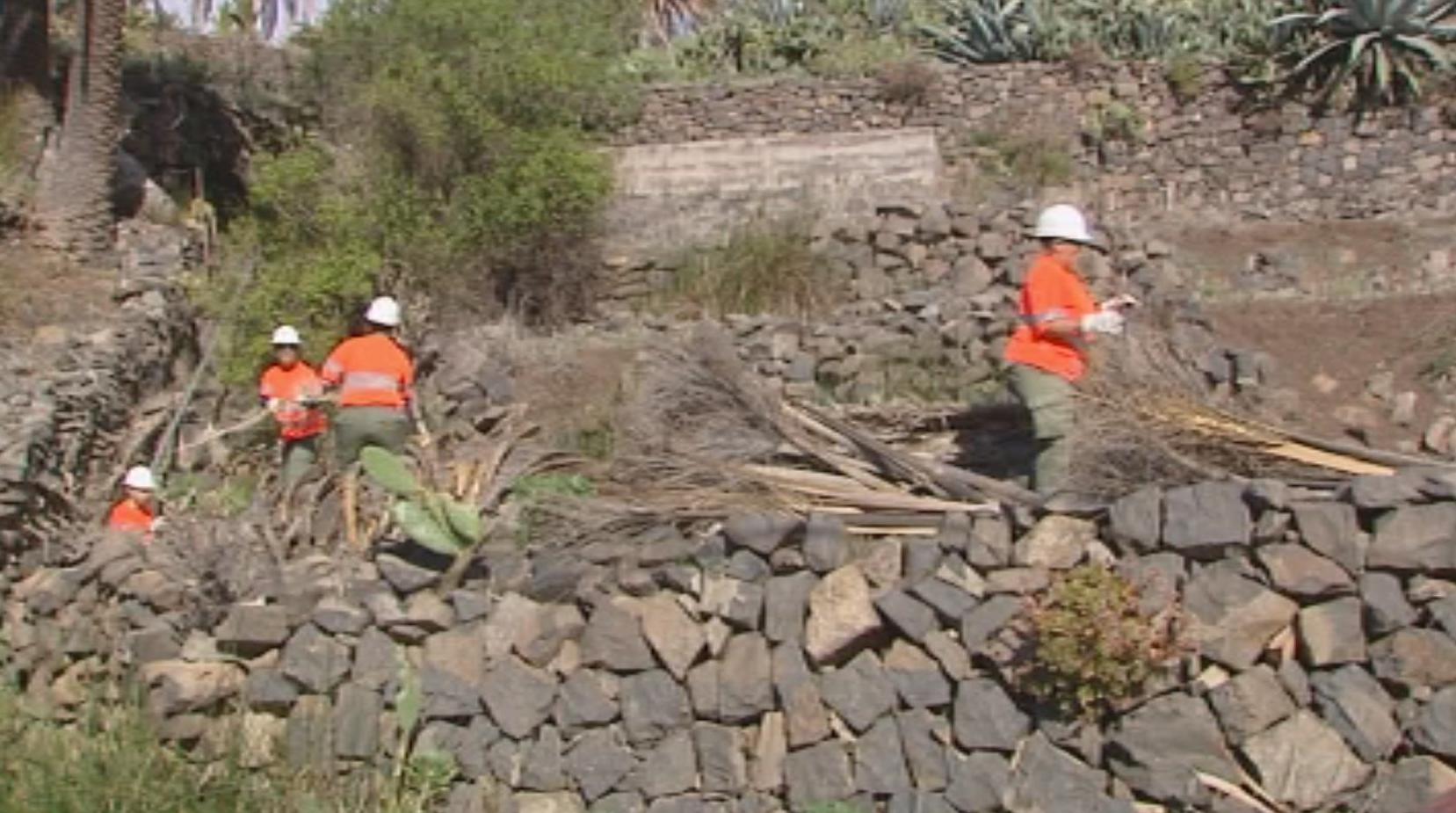 trabajando en la prevención de incendios en La Gomera