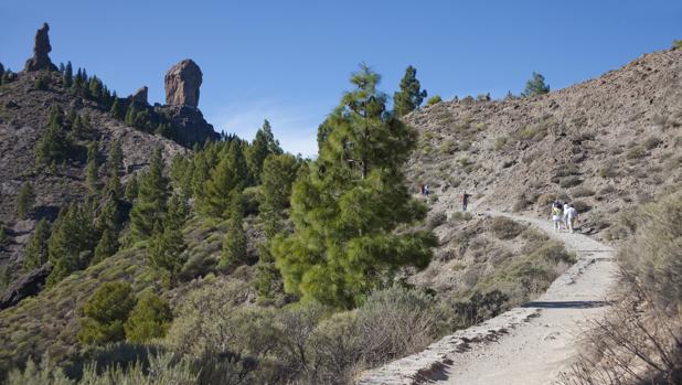 Roque Nublo