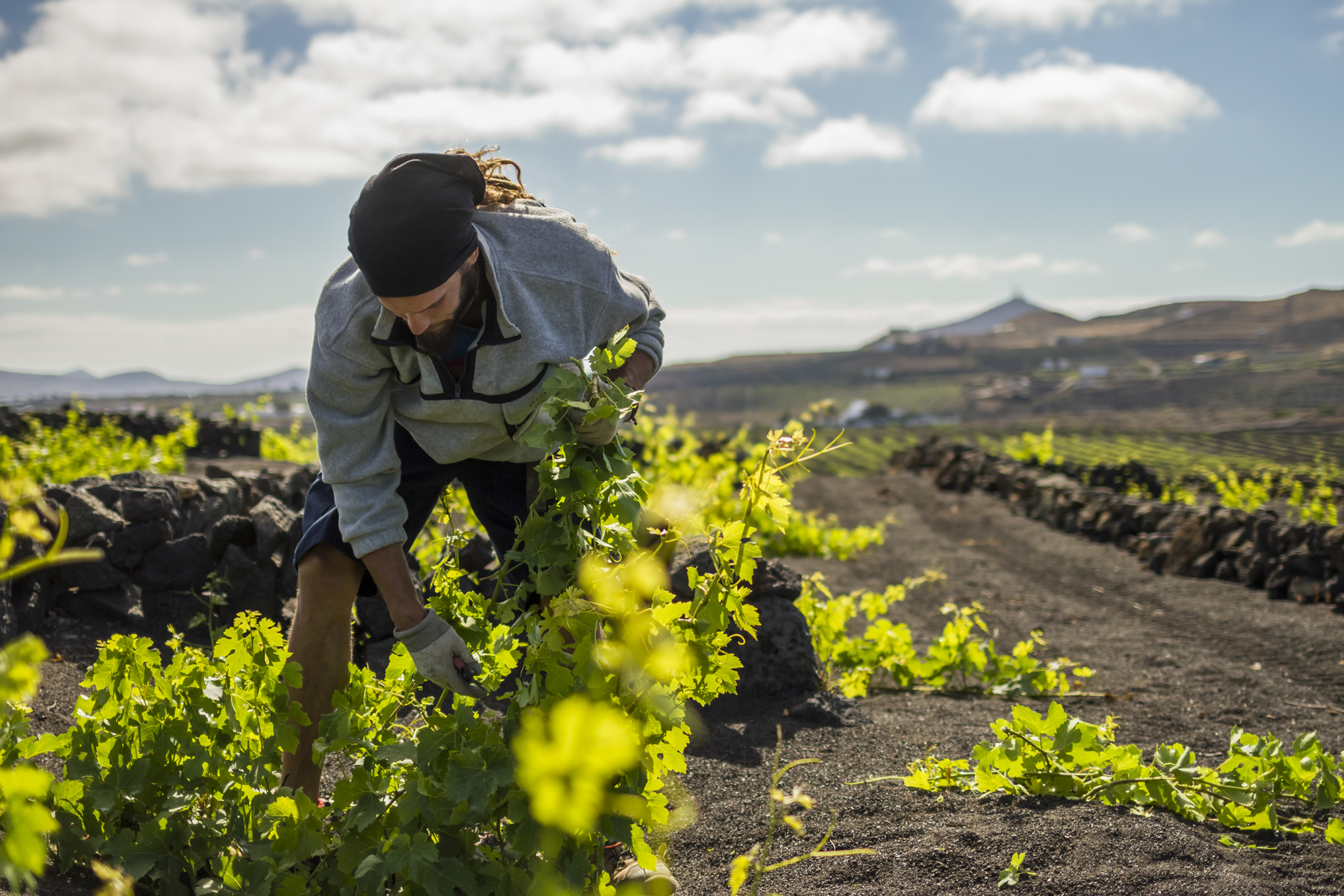 Trabajador de Bodegas El Grifo