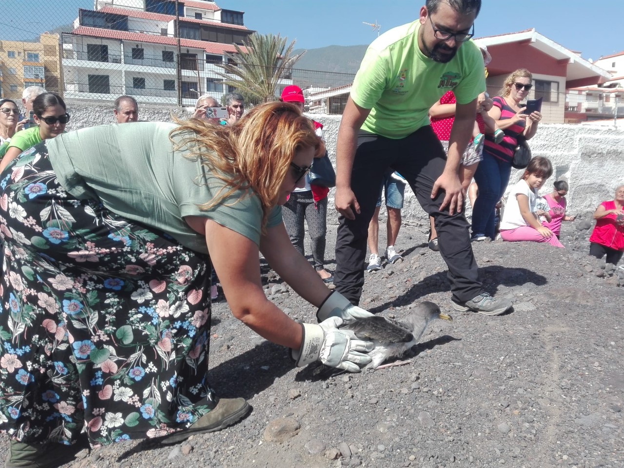 Voluntariado Ambiental. Candelaria. Tenerife