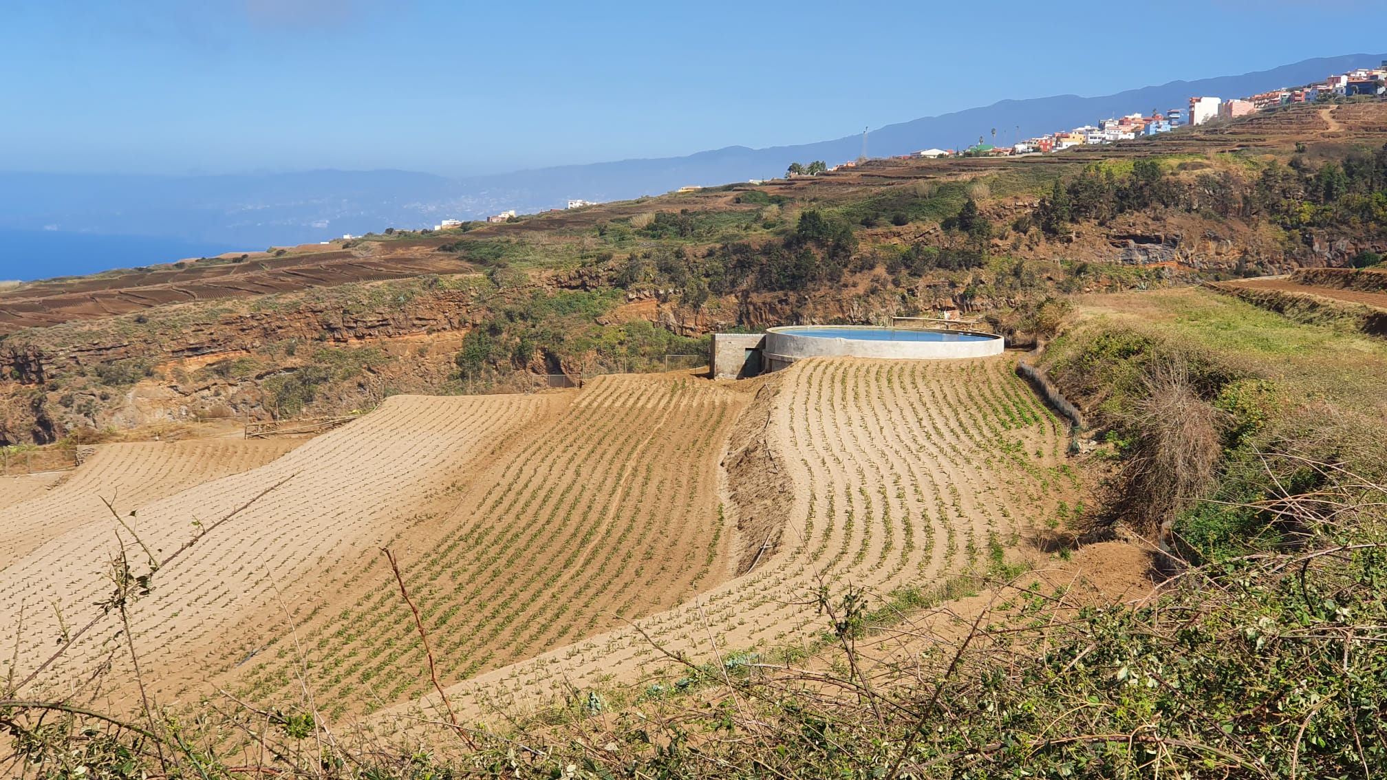 Producción agrícola