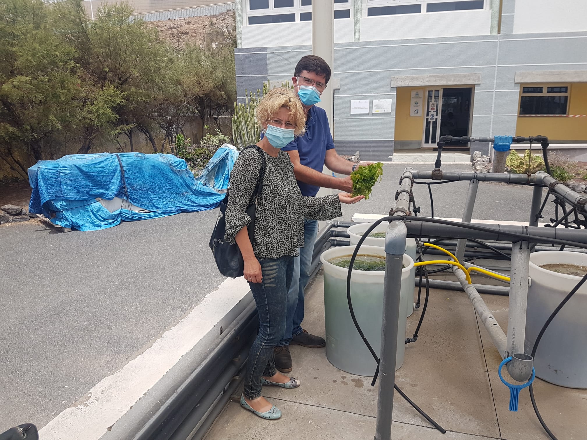 Auri Saavedra en el Banco Español de Algas. Gran Canaria