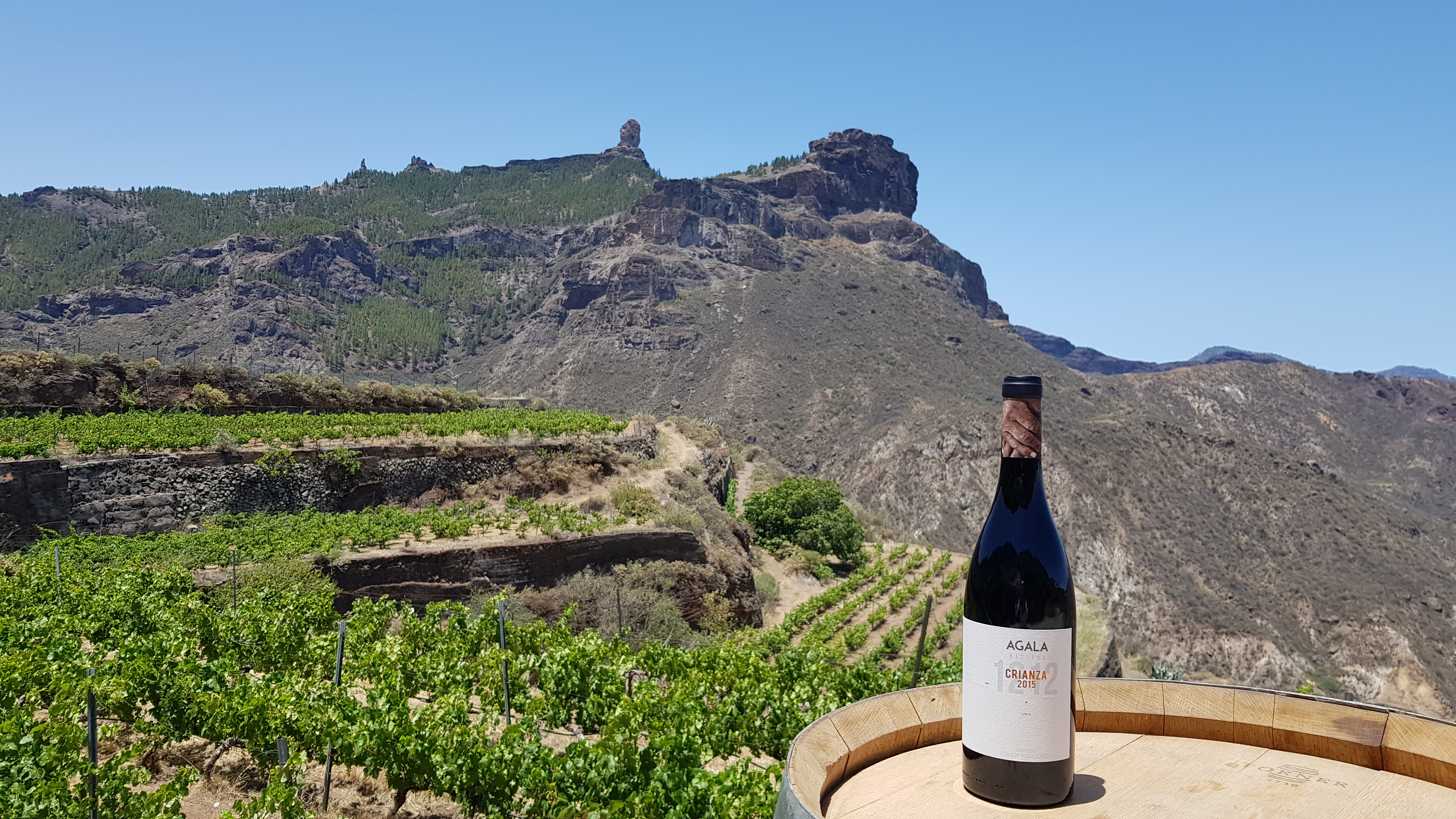 Vino crianza Bodegas Bentayga. Gran Canaria