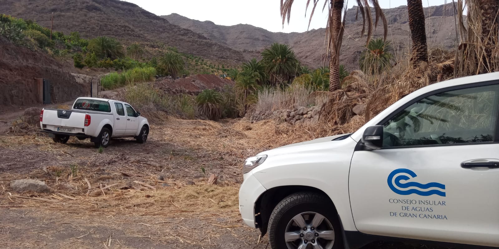 retirada de cañaverales para la prevención de incendios forestales. Gran Canaria