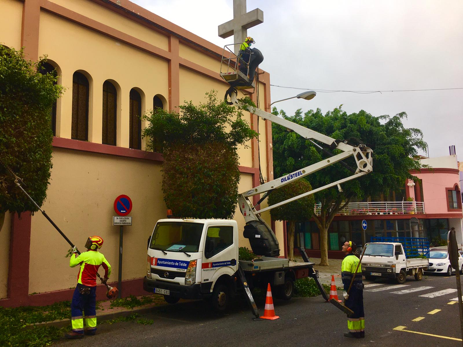 Telde inicia el tratamiento de la arboleda de El Ejido 