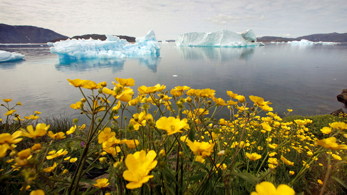 Narsaq, Groenlandia. Dinamarca