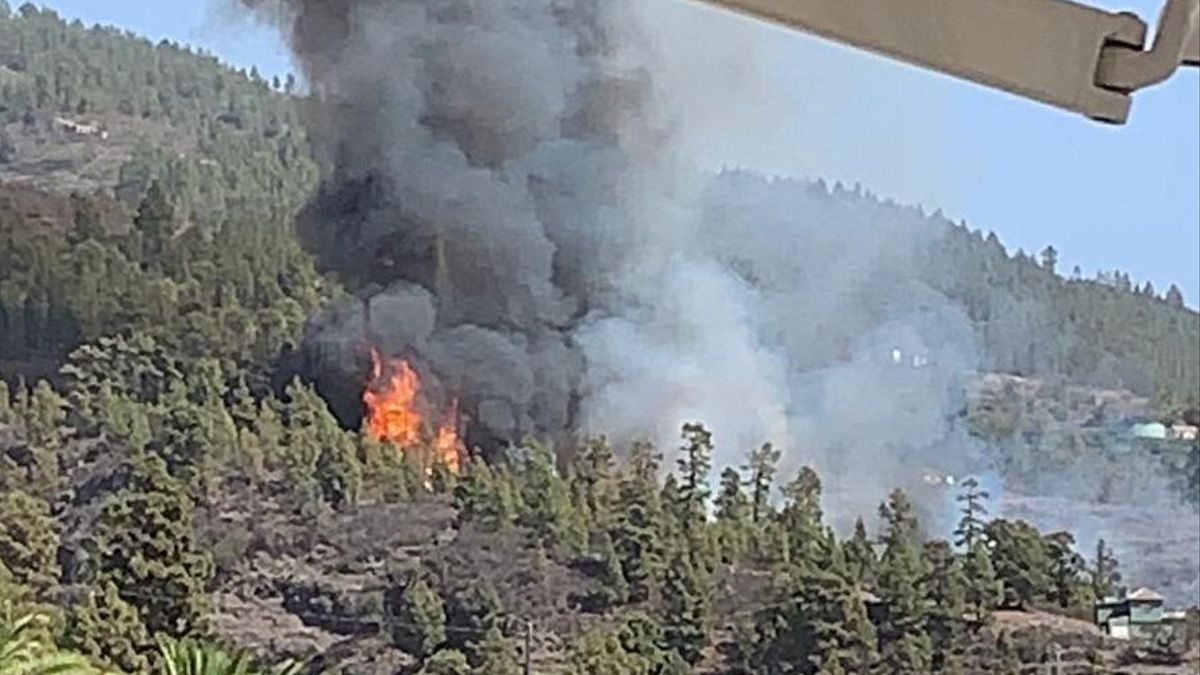 Incendio forestal de Tijarafe. La Palma Incendio forestal de Tijarafe. La Palma