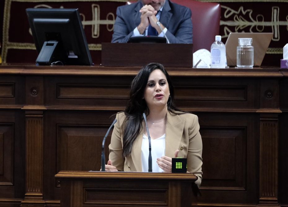 Vidina Espino, portavoz Cs en el Parlamento de Canarias Vidina Espino, portavoz Cs en el Parlamento de Canarias