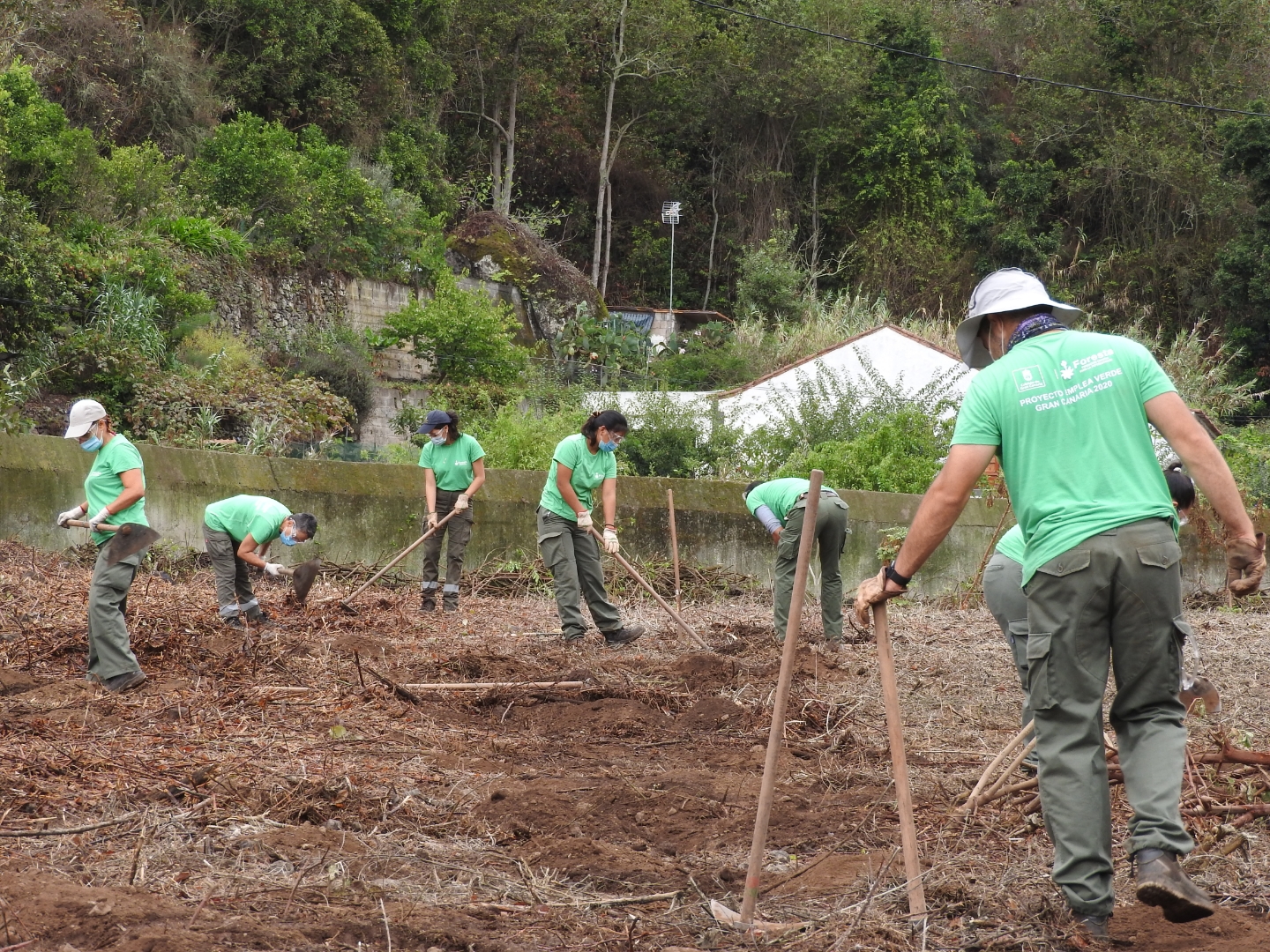 Proyecto Emplea Verde Gran Canaria