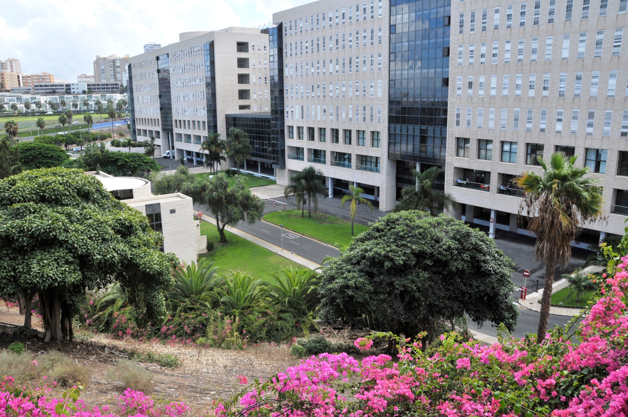 Hospital General de Gran Canaria Doctor Negrín Hospital General de Gran Canaria Doctor Negrín