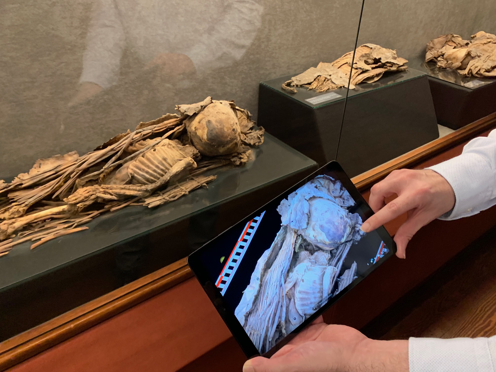Proyecto «El Museo Canario en 3D: Piezas clave para conocer a los antiguos canarios»