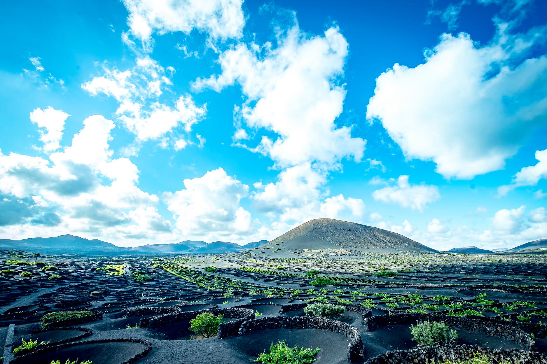 La Geria. Lanzarote