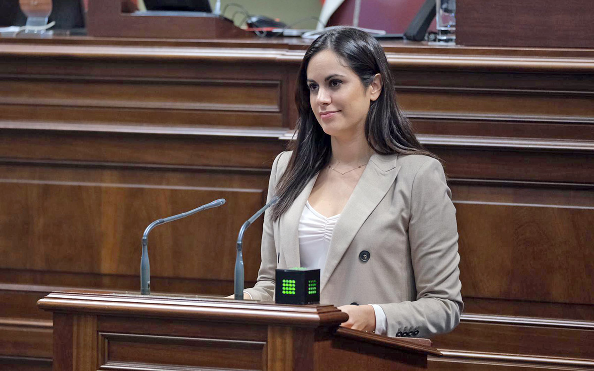 Vidina Espino, portavoz Cs en el Parlamento de Canarias Vidina Espino, portavoz Cs en el Parlamento de Canarias