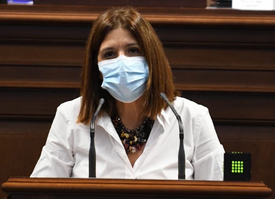 Carmen Hernández en el Parlamento de Canarias / CanariasNoticias.es