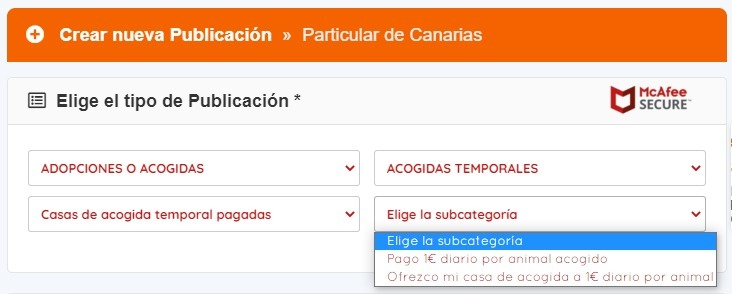 Los ciudadanos se muestran muy interesados en ser casa de acogida animal pagada Los ciudadanos se muestran muy interesados en ser casa de acogida animal pagada