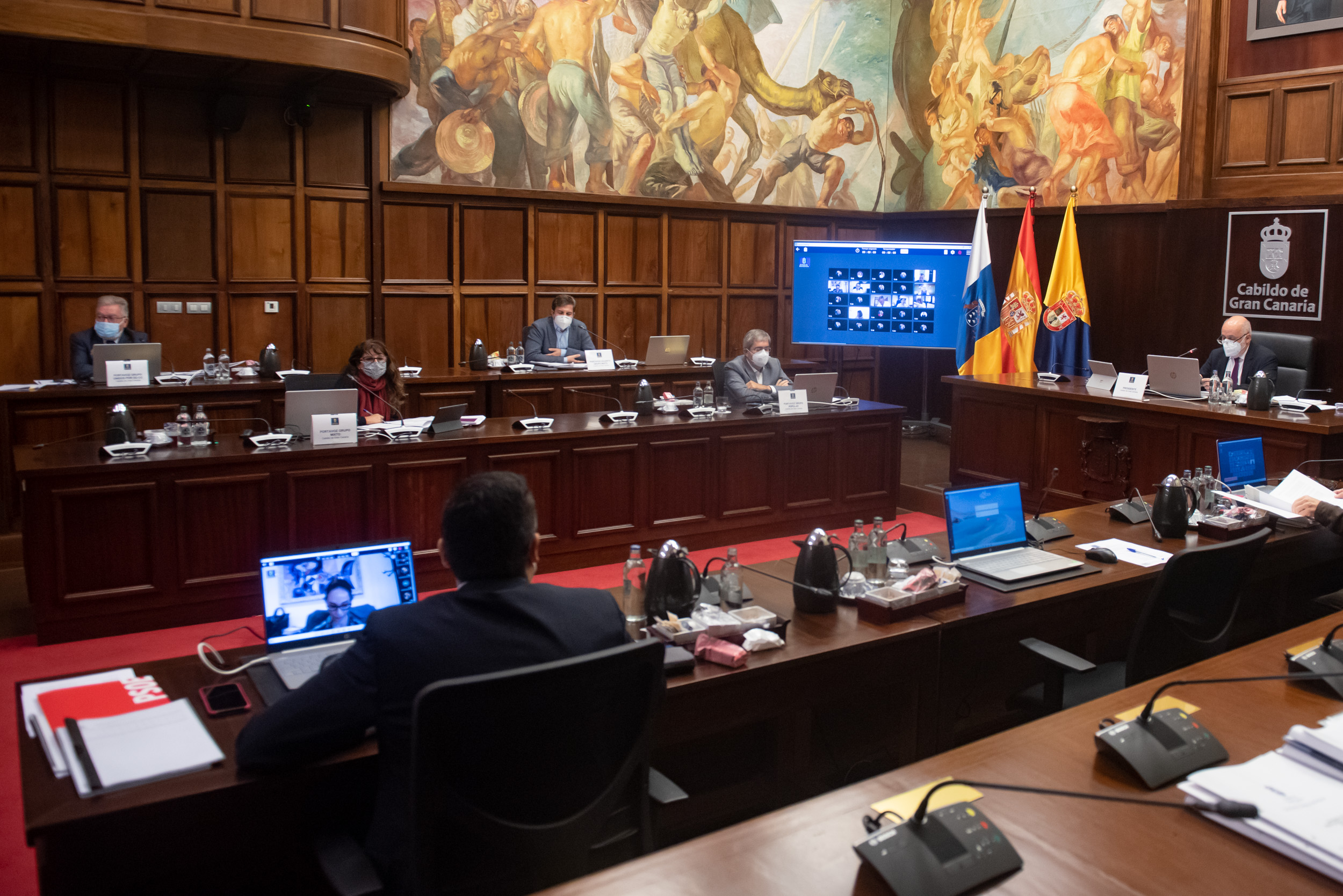 Pleno del Cabildo de Gran Canaria / CanariasNoticias.es