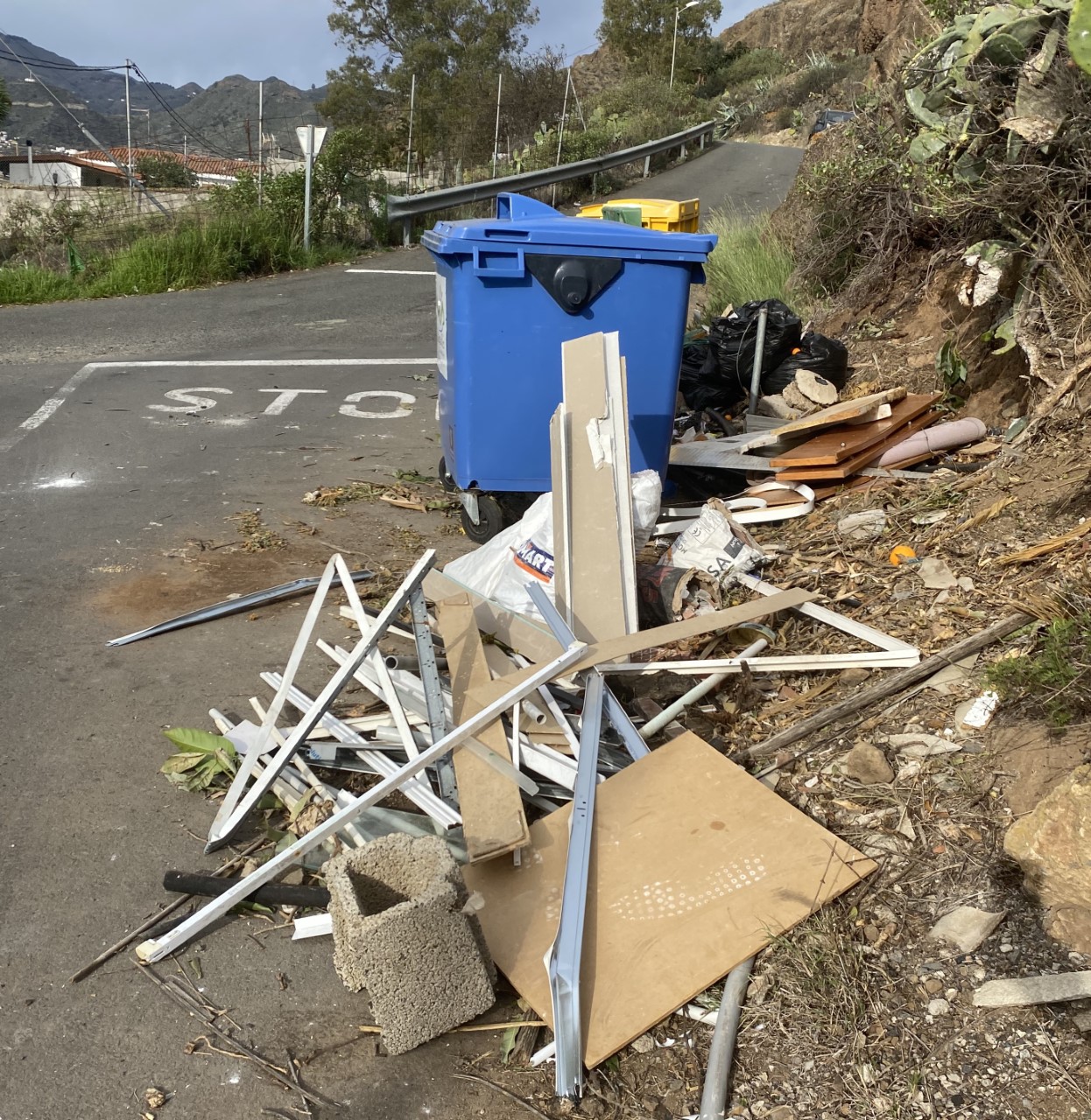 Los vecinos se quejan que la basura se acumula en el municipio Valsequillo/ CanariasNoticias.es