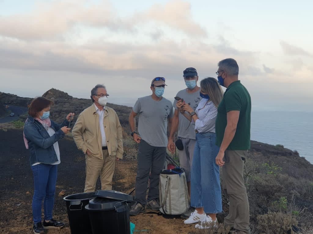 El Cabildo de El Hierro libera 50 Lagartos Gigantes en la Punta de Agache / CanariasNoticias.es