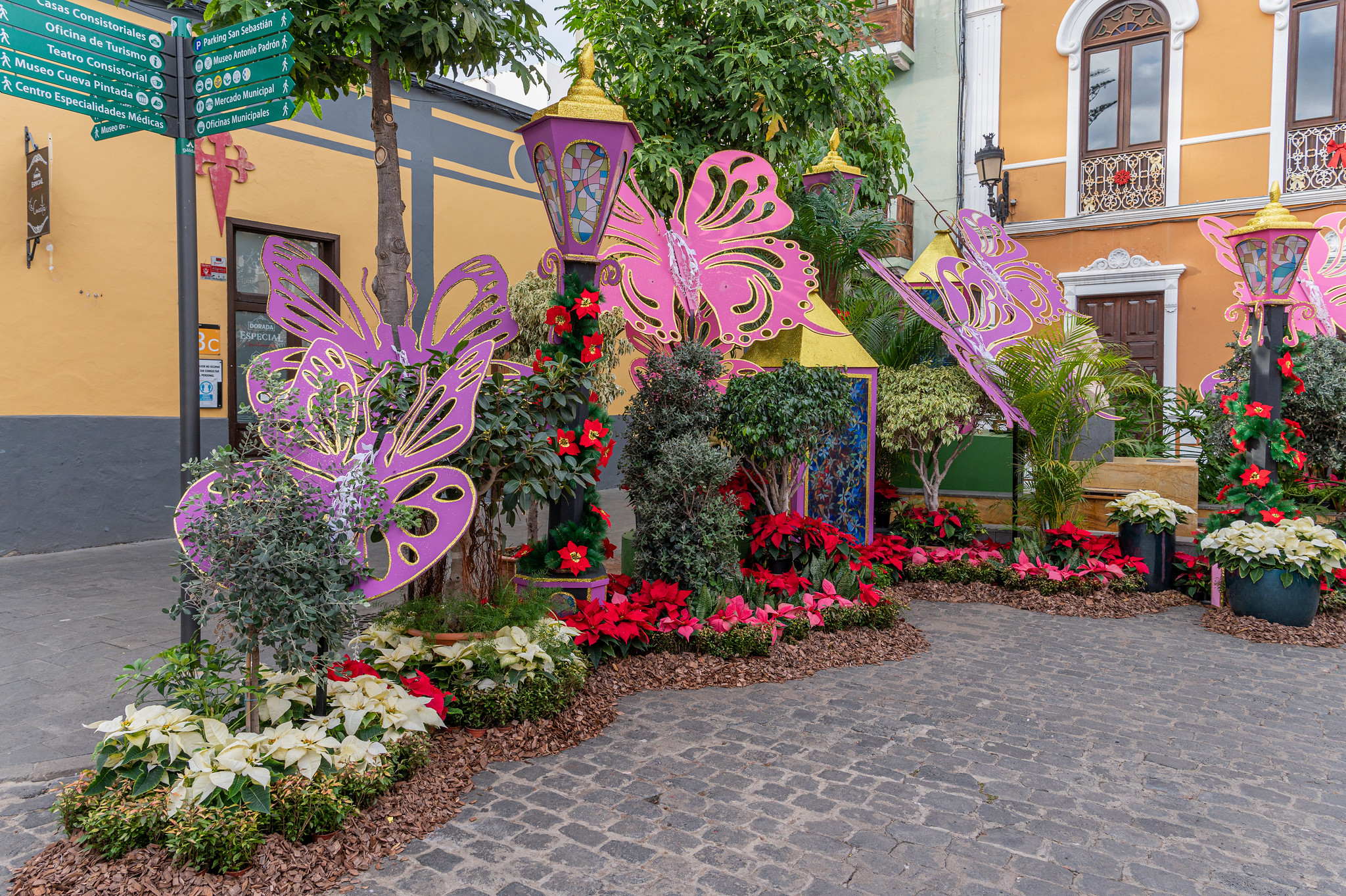 Semana de las Flores en Gáldar / CanariasNoticias.es