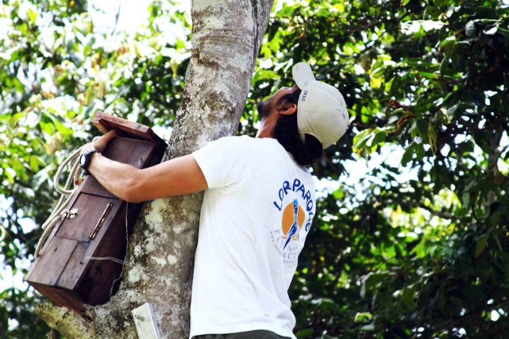 Loro Parque / CanariasNoticias.es