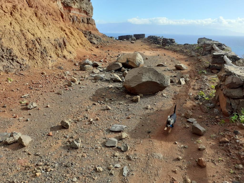 Desprendimientos en el acceso a Puntallana en La Gomera / CanariasNoticias.es