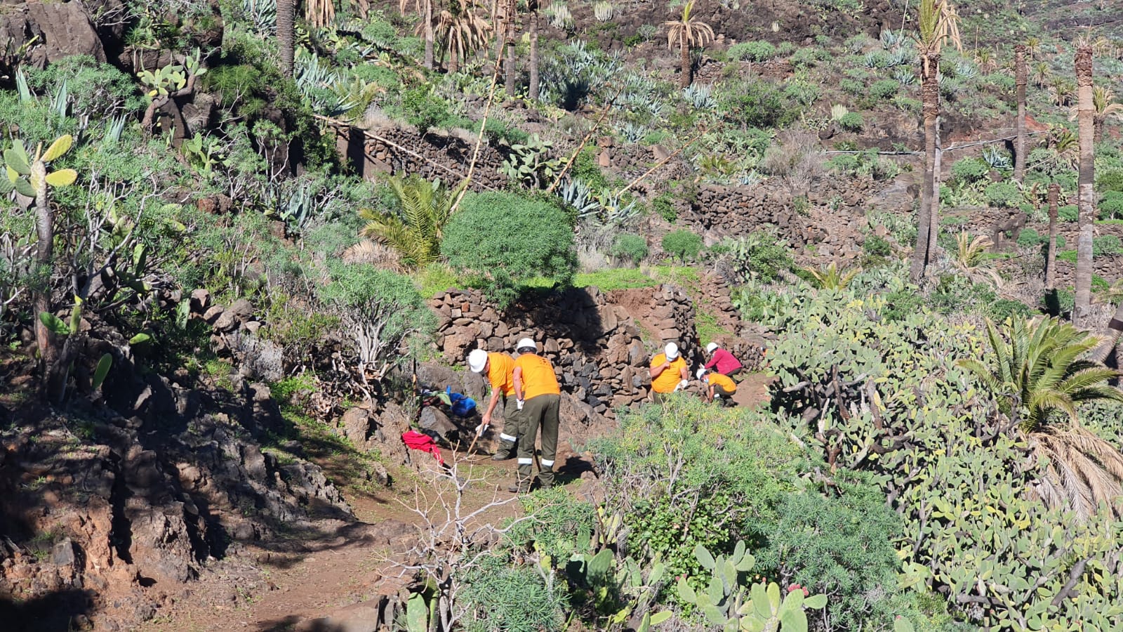 Operarios de Gesplan en La Gomera / CanariasNoticias.es Operarios de Gesplan en La Gomera / CanariasNoticias.es