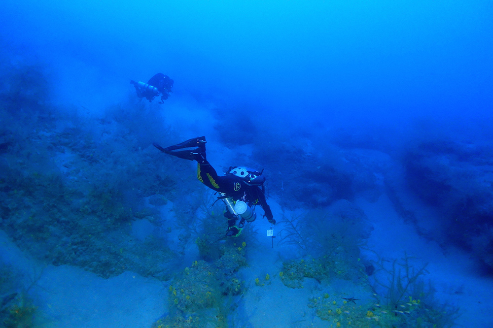 Investigadores de ABAS y LECOB en la linde del bosque del coral negro