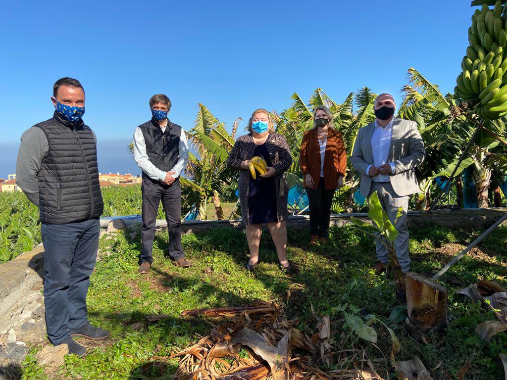 Visita a una finca de Plátano de Canarias en Puerto de la Cruz / CanariasNoticias.es