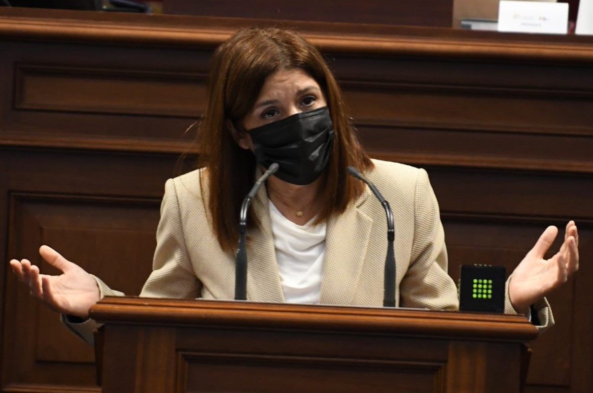 Carmen Hernández en el Parlamento de Canarias / CanariasNoticias.es Carmen Hernández en el Parlamento de Canarias / CanariasNoticias.es