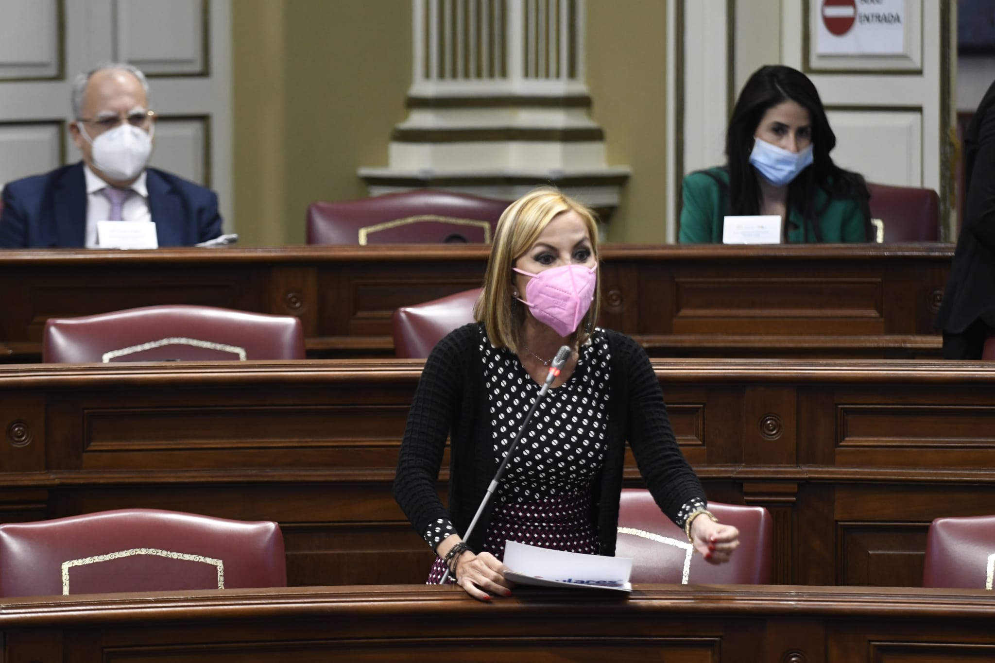 Australia Navarro, Presidenta del Partido Popular de Canarias / CanariasNoticias.es Australia Navarro, Presidenta del Partido Popular de Canarias / CanariasNoticias.es