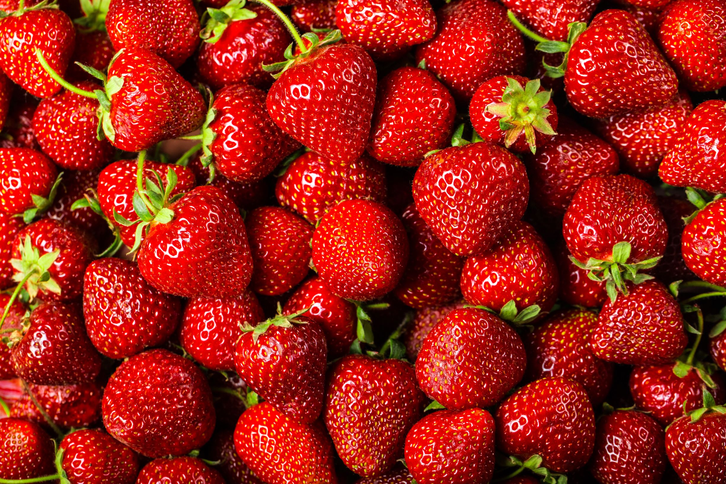 Fresas / CanariasNoticias.es Fresas