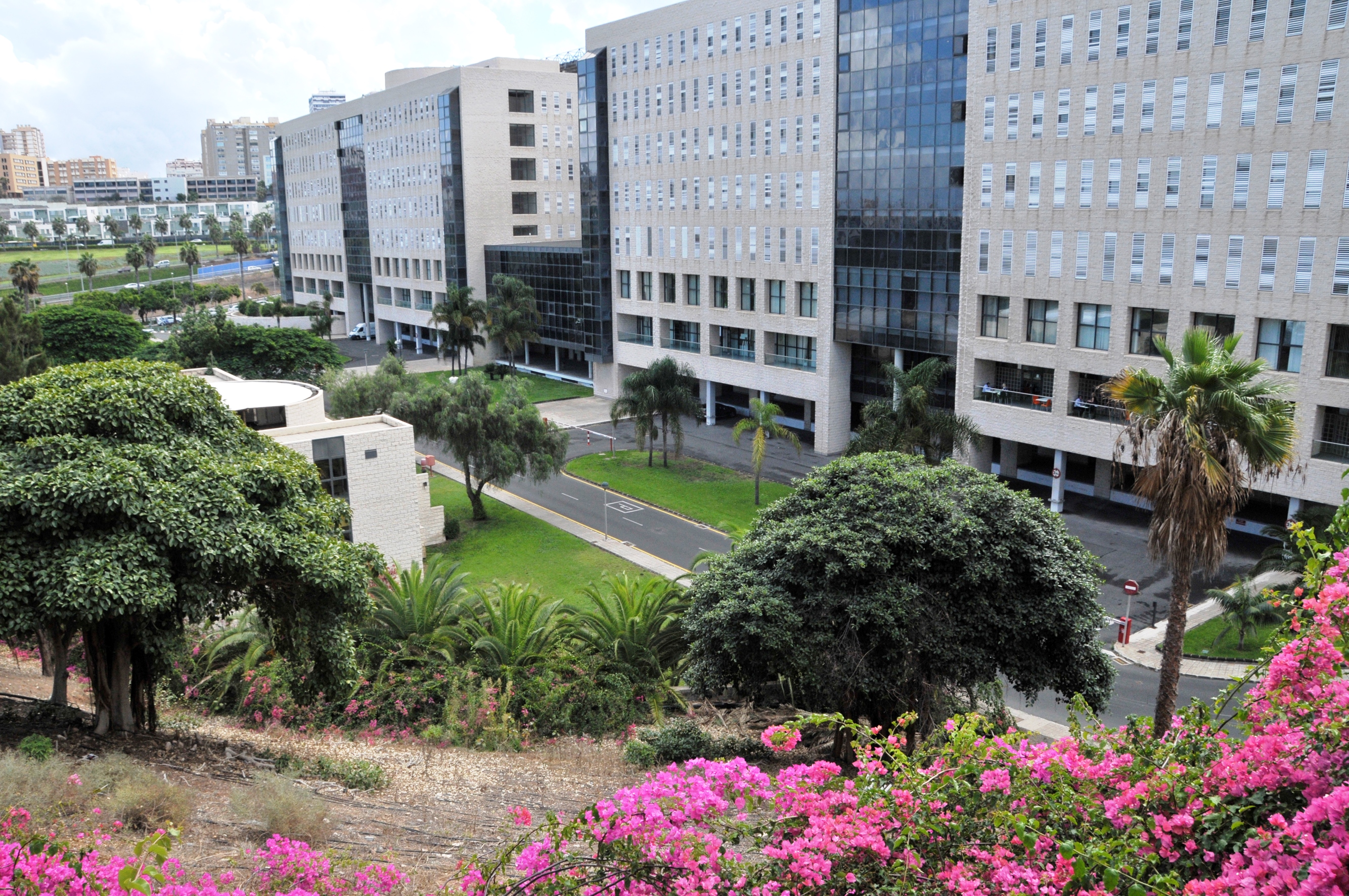 Hospital General de Gran Canaria Doctor Negrín/ canariasnoticias Hospital General de Gran Canaria Doctor Negrín/ canariasnoticias