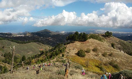 Ruta de senderismo “Mesas de Galaz-Las Rosadas” de Valleseco (Gran Canaria) / CanariasNoticias.es