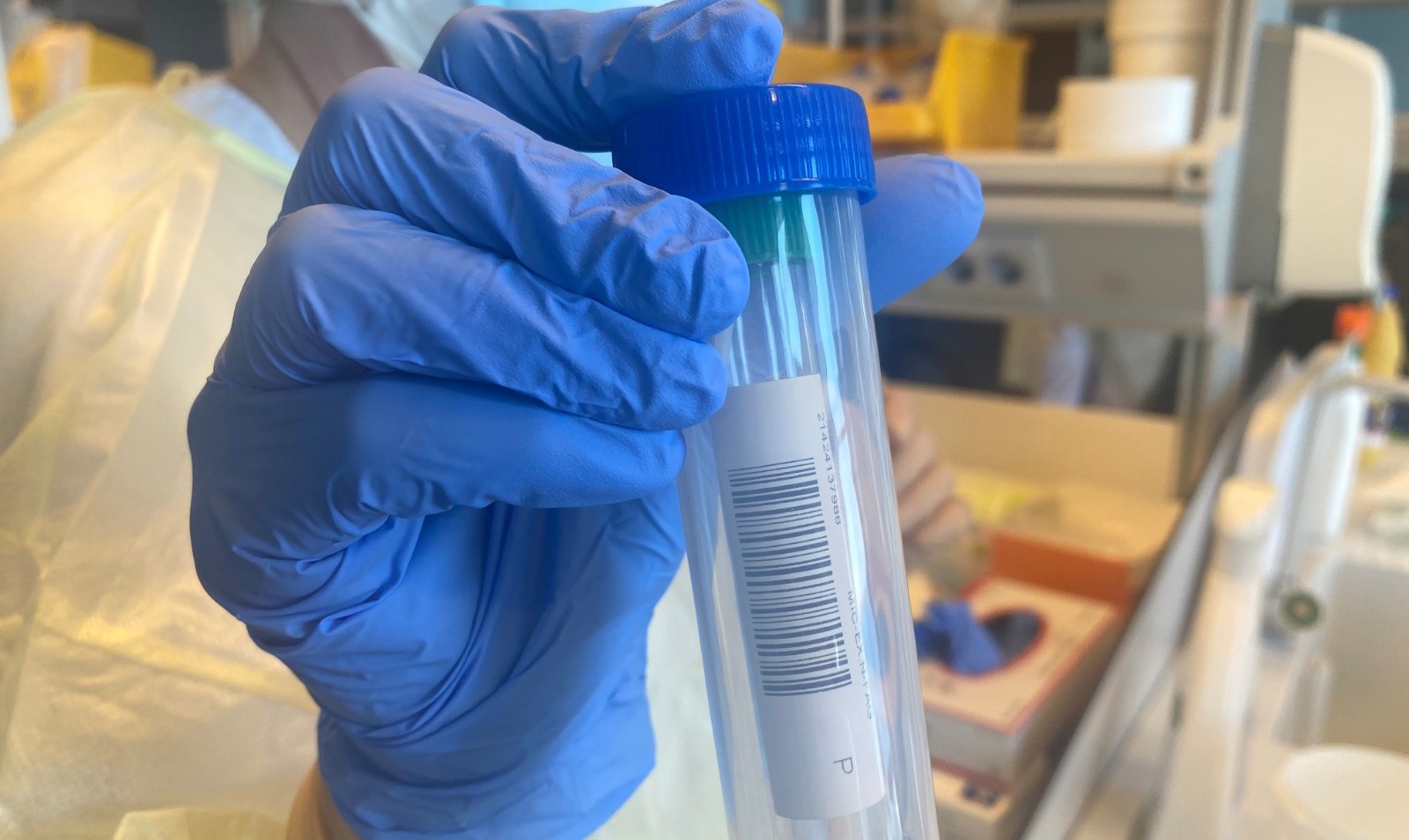 Coronavirus en Canarias / CanariasNoticias.es Coronavirus en Canarias / CanariasNoticias.es