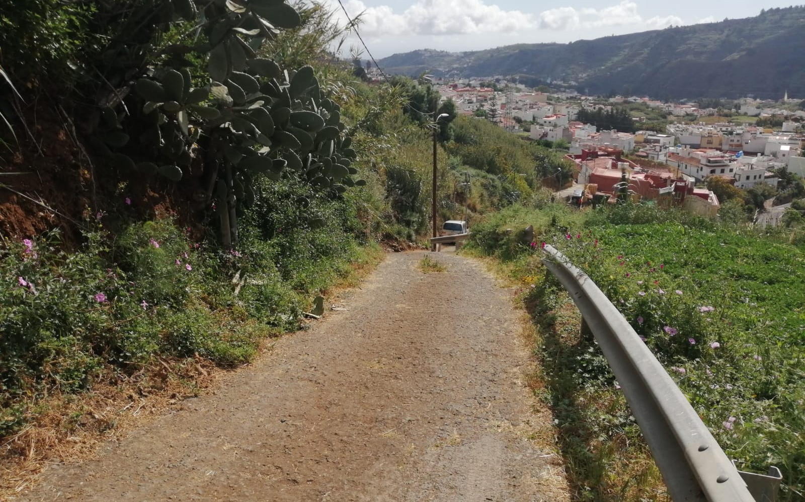 Camino de Los Estanques en Teror (Gran Canaria) / CanariasNoticias.es Camino de Los Estanques en Teror (Gran Canaria) / CanariasNoticias.es