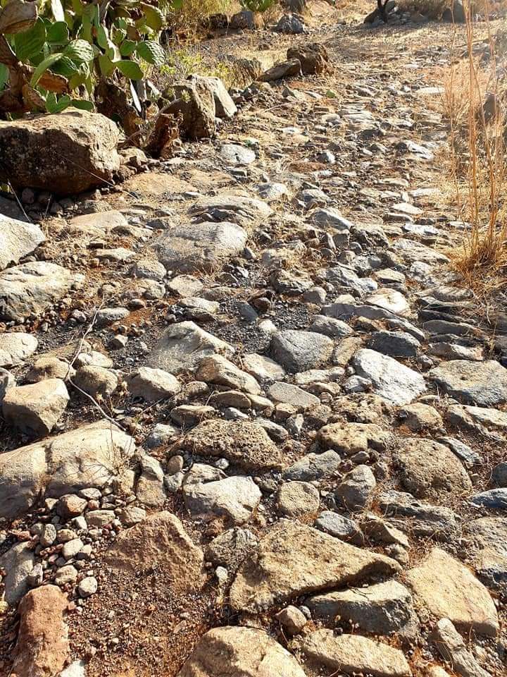 Camino de las Bestias del Barranco de Guayadeque (Gran Canaria) / CanariasNoticias.es