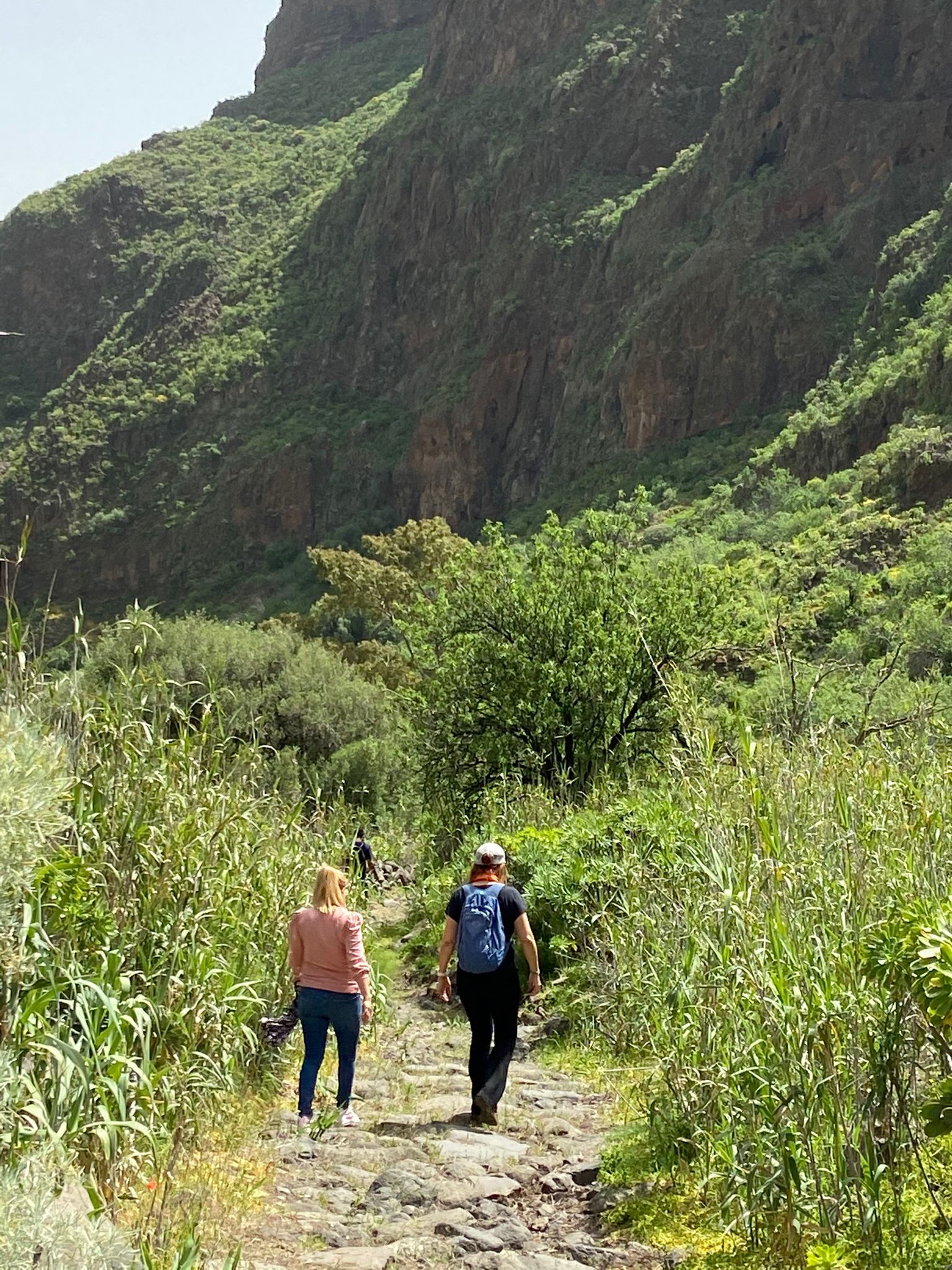 Camino de las Bestias del Barranco de Guayadeque (Gran Canaria) / CanariasNoticias.es