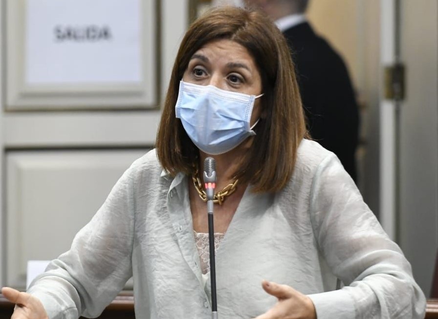 Carmen Hernández (NC) en el Parlamento de Canarias / CanariasNoticias.es Carmen Hernández (NC) en el Parlamento de Canarias / CanariasNoticias.es