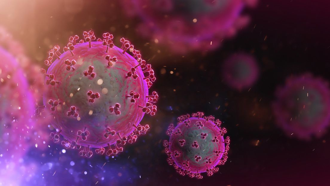 Coronavirus Covid 19 Coronavirus